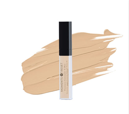 Visionary Concealer